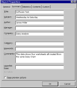 Microsoft Excel Workbook Properties - Click for Large