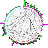 Newmarket Winners - Click for Large