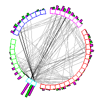 Daisy Chart - Click for Large